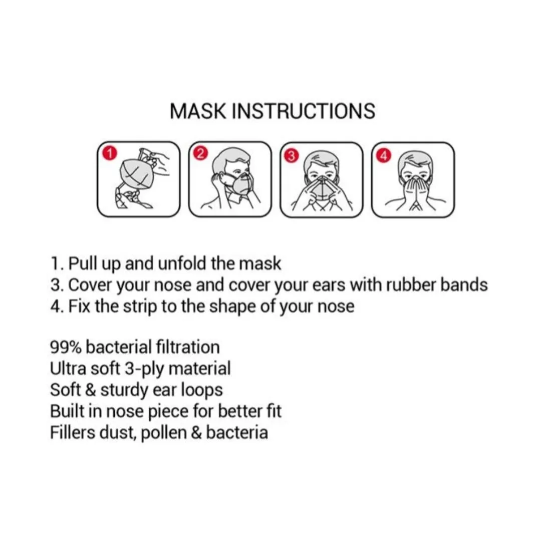 3-Ply Disposable Face Mask-1 each