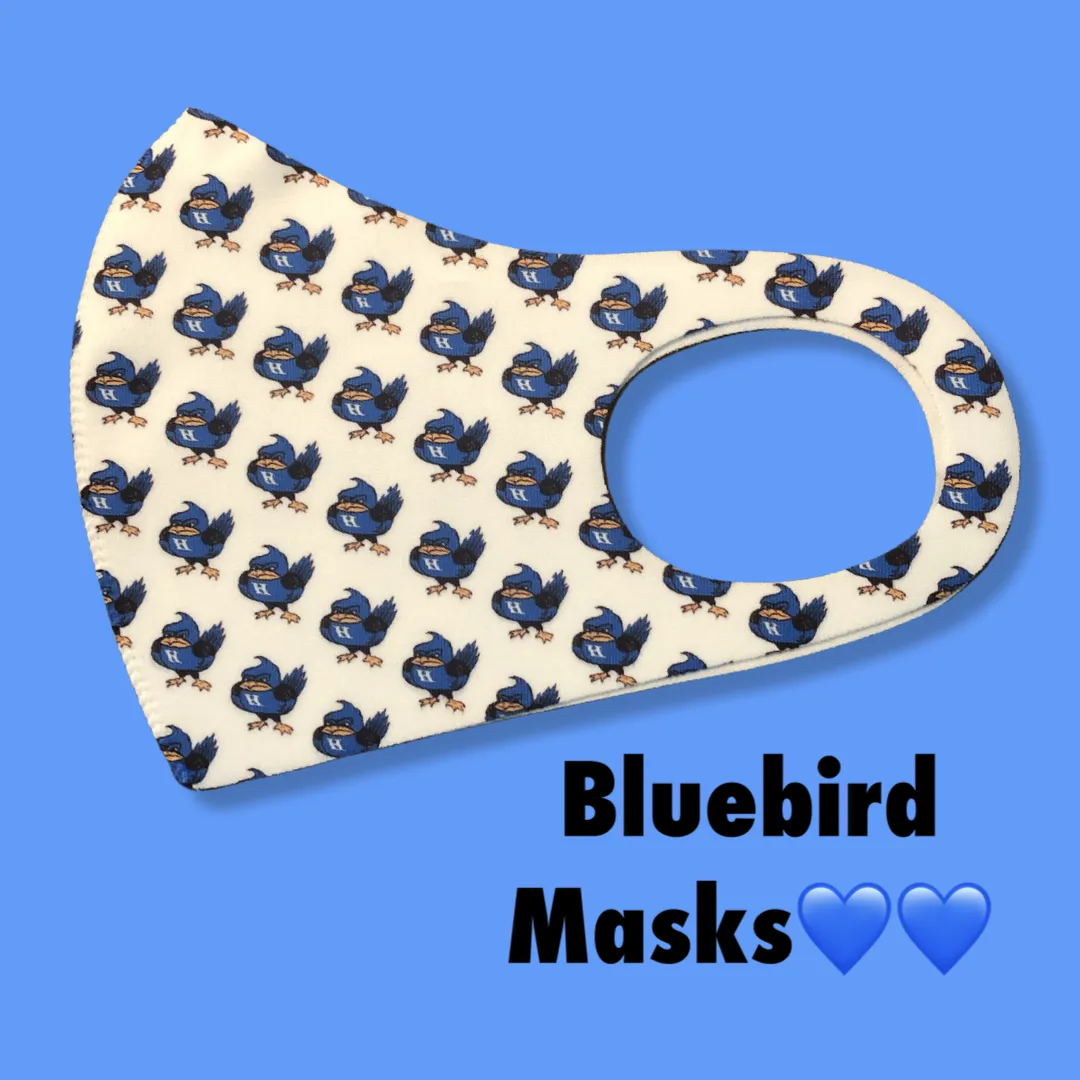 Bluebird Mask